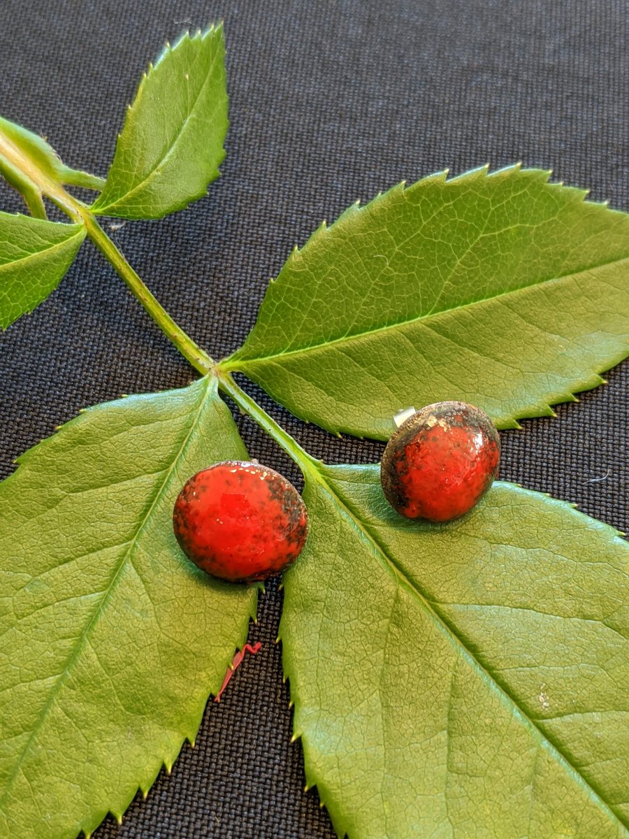 Simple burnt red enamel stud earrings on copper with silver posts