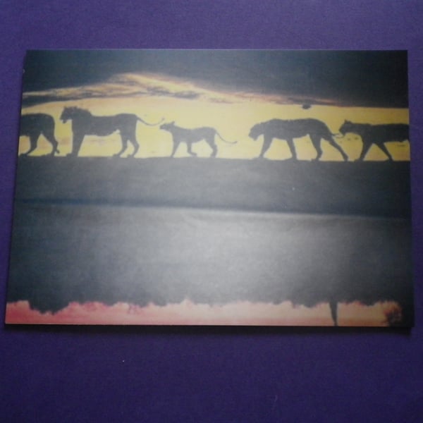 The Water Hole, A4 unfamed , mounted, free hook & easel 3511 free shipping