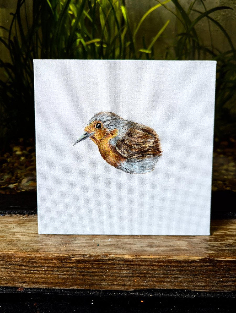 Eurasian Robin Acrylic Portrait Painting 