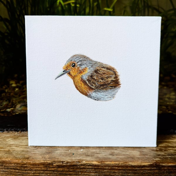 Eurasian Robin Acrylic Portrait Painting 
