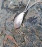 Mussel Shell Necklace. - Image 3