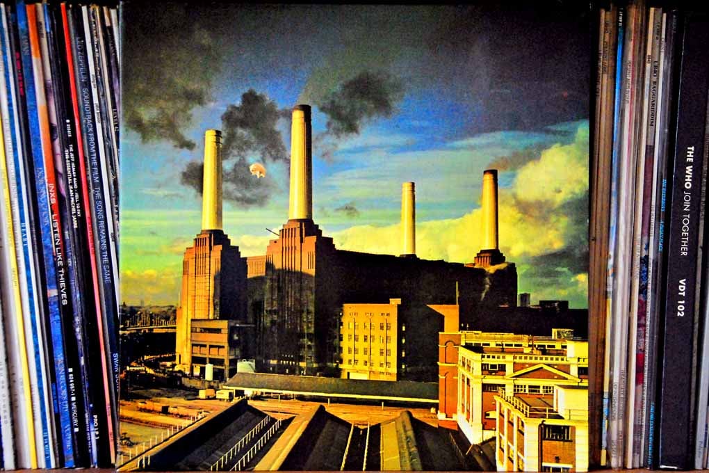 Pink Floyd Animals Album Front Cover Photograph Print