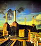 Pink Floyd Animals Album Front Cover Photograph Print