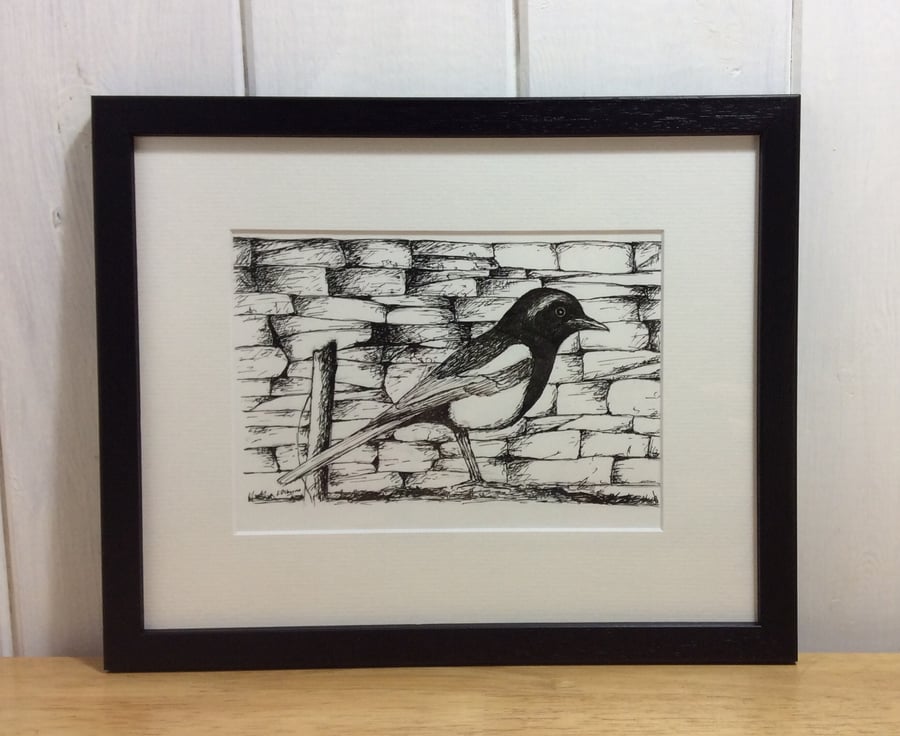 Magpie - original pen and ink drawing of bird