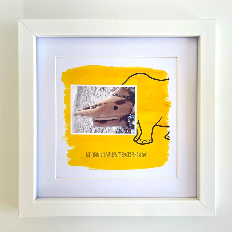 Rhino; framed image, mounted and printed on card and photographic paper