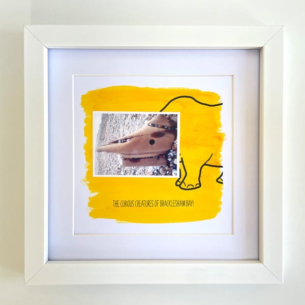 Rhino; framed image, mounted and printed on card and photographic paper