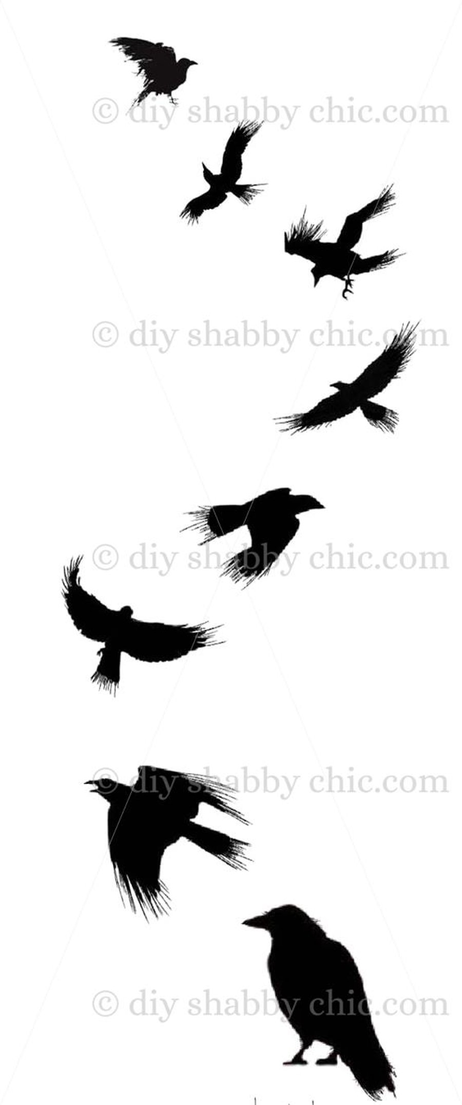 Waterslide Wood Furniture Decal Vintage Image Transfer Shabby Chic Black Crows