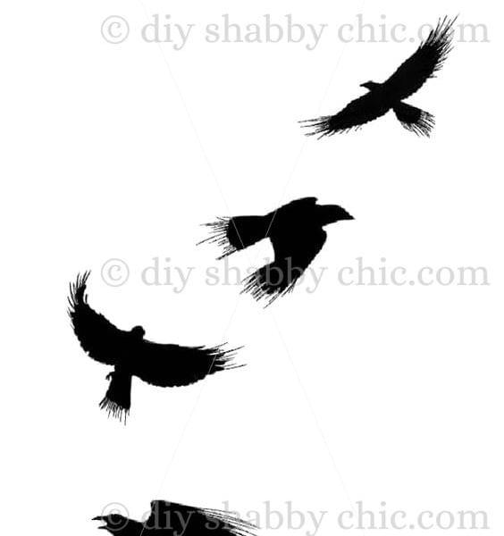 Waterslide Wood Furniture Decal Vintage Image Transfer Shabby Chic Black Crows