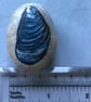 Shell painted pebble - Image 3