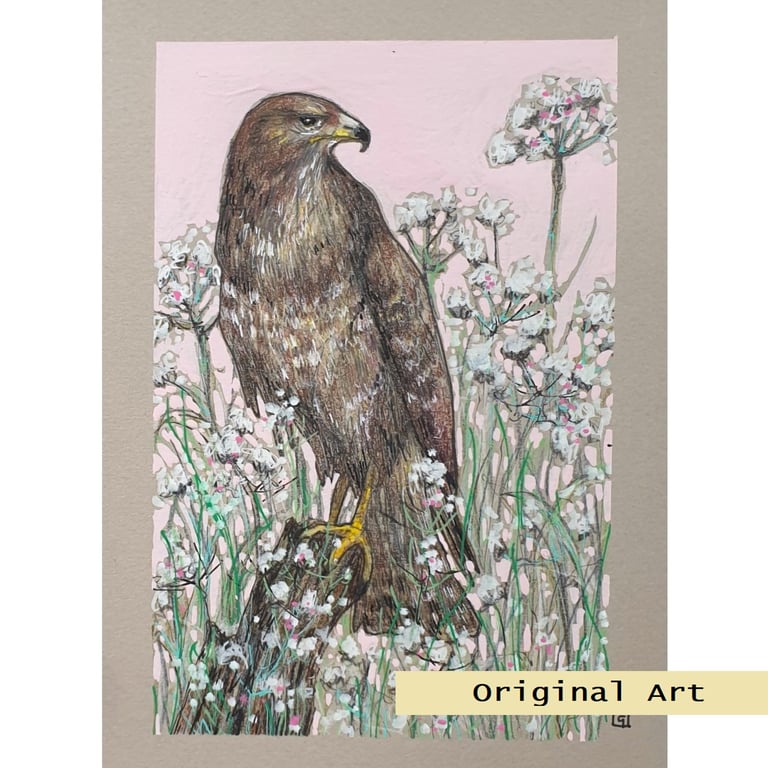 Buzzard original bird art, bird drawing, wall art