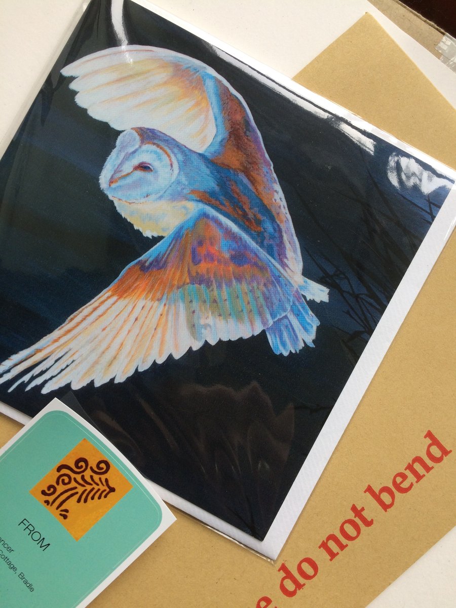  Card Barn Owl against night sky