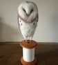 Owl on a bobbin 