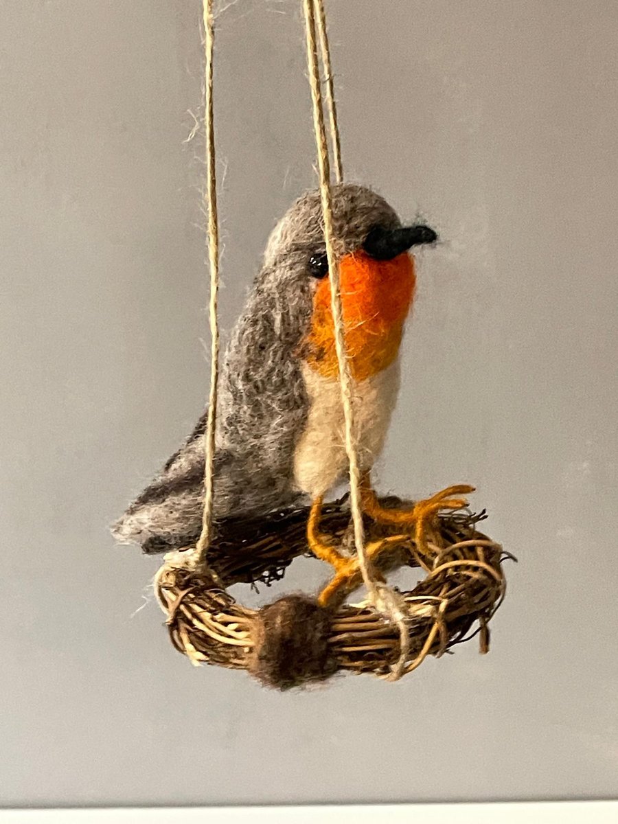 A little robin on a swing