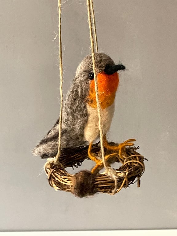 A little robin on a swing