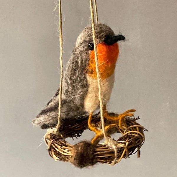 A little robin on a swing