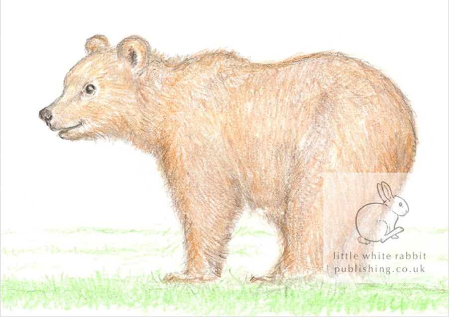 Billy the Brown Bear - Blank Card