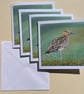 Curlew painting: 4 greetings cards