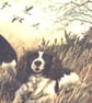 Two Springer Spaniels ready and waiting cushion  - Image 5