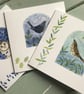 Big Bird Bundle - Image 3