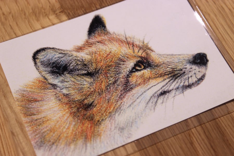 Fox ACEO Print - Mini Wildlife Art Print, Free UK Post