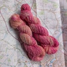 Coral sunset :: fancy pima cotton :: 100g