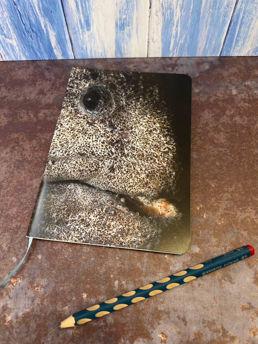 Notebook, Marine themed, A5 (ish), made from up-cycled and recycled materials.