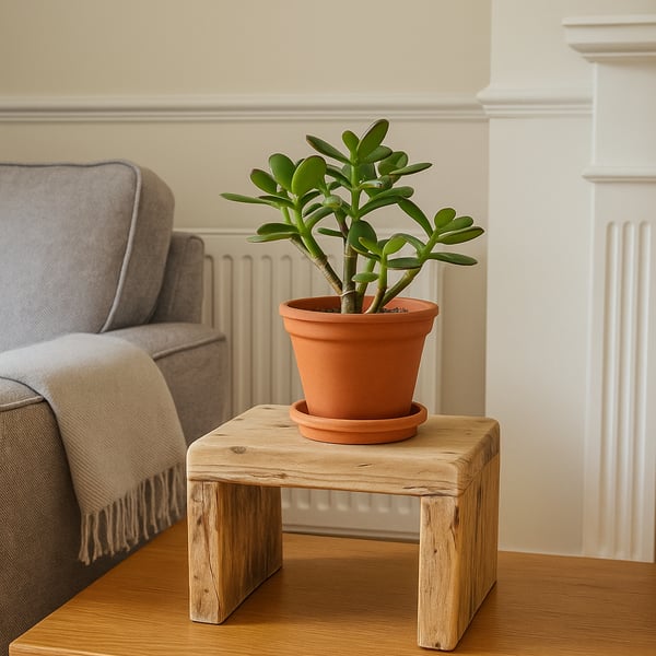 Rustic Solid Wooden Plant Stand,Stool