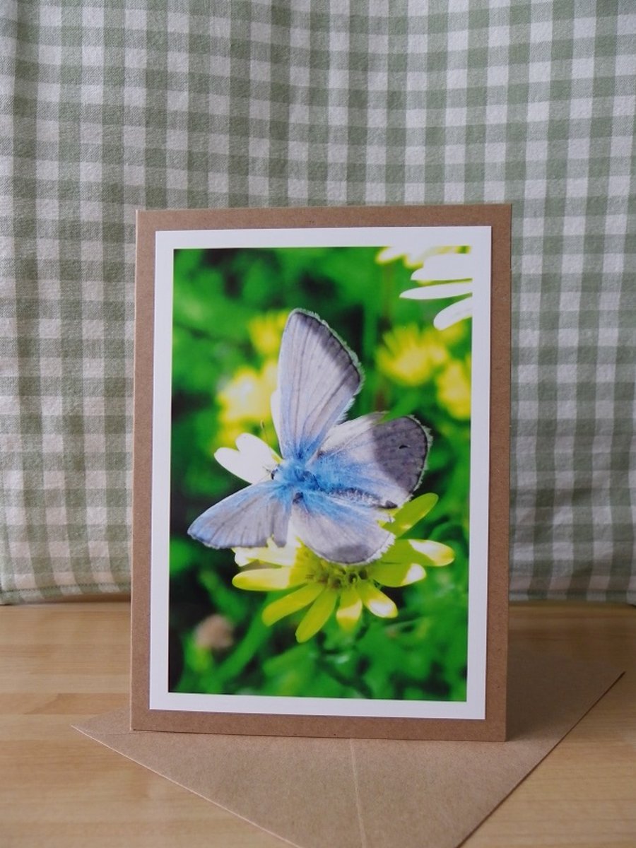 Sold - Blue Butterfly Photo Greetings Card