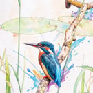 Kingfisher Lilly Pads Norfolk Greeting Card A5