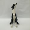 Black & White Sitting Greyhound