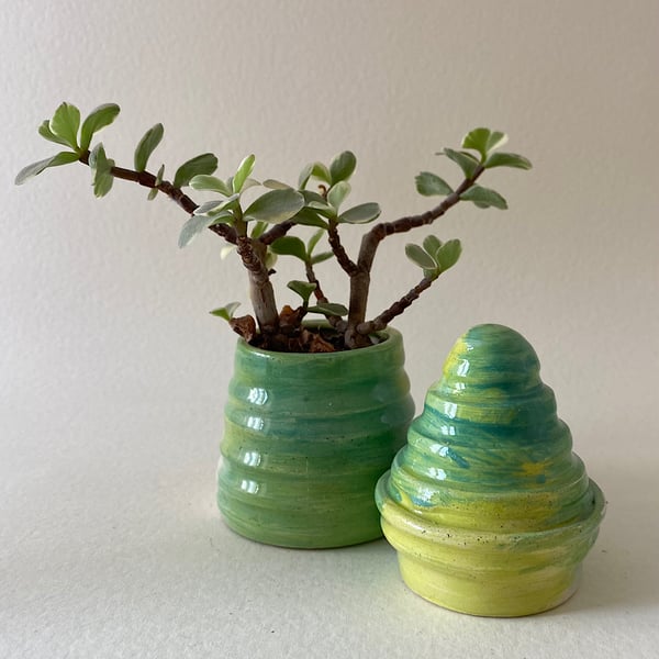  Christmas tree and tub ceramic ornament set.