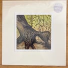 Life Finds A Way On A Hornbeam