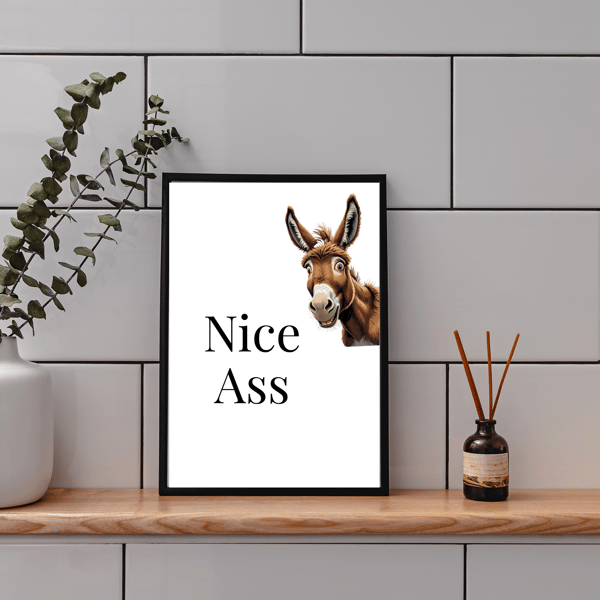 Nice Ass funny A4 Bathroom wall Print 