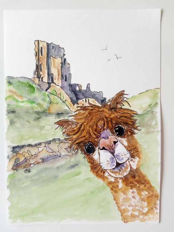 Alpaca at Corfe Castle. Original painting