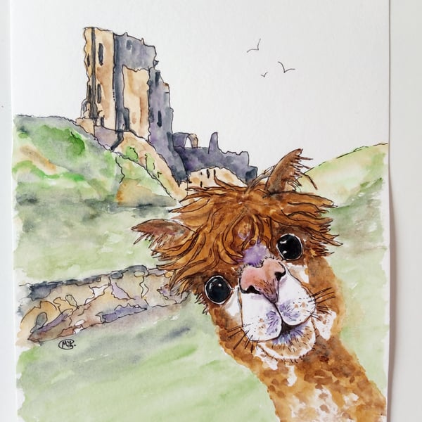 Alpaca at Corfe Castle. Original painting