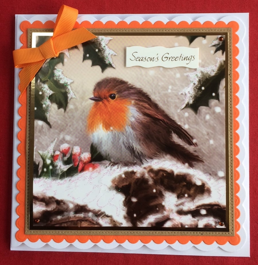 Robin Christmas Card Season's Greetings Red Robin 3D Luxury Handmade