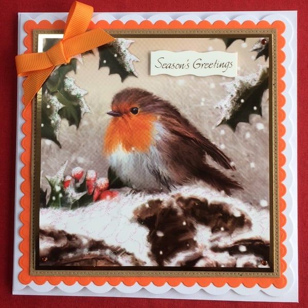 Robin Christmas Card Season's Greetings Red Robin 3D Luxury Handmade