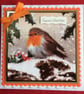 Robin Christmas Card Season's Greetings Red Robin 3D Luxury Handmade