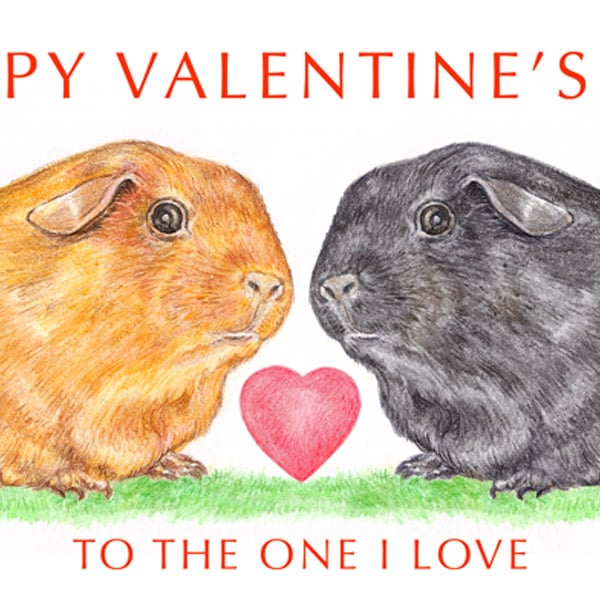 Guinea Pigs Nose to Nose -  Valentine Card