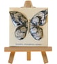 Butterfly Wall Art on 3D Mixed Media Canvas – Handmade Gift