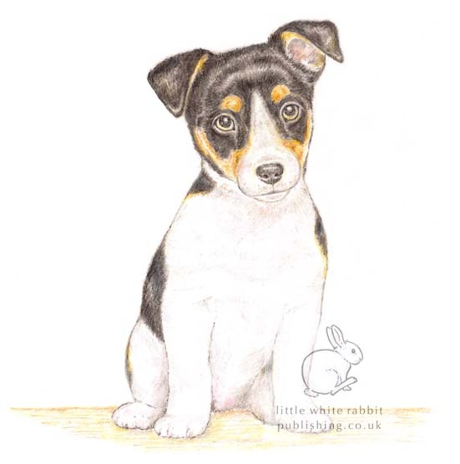 Jack the Jack Russell - Blank Card