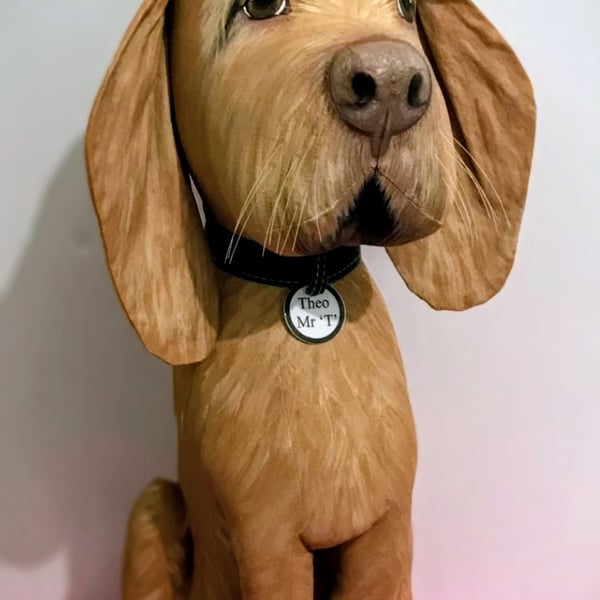 Vizsla