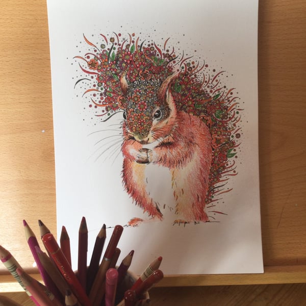 Red Squirrel ART PRINT