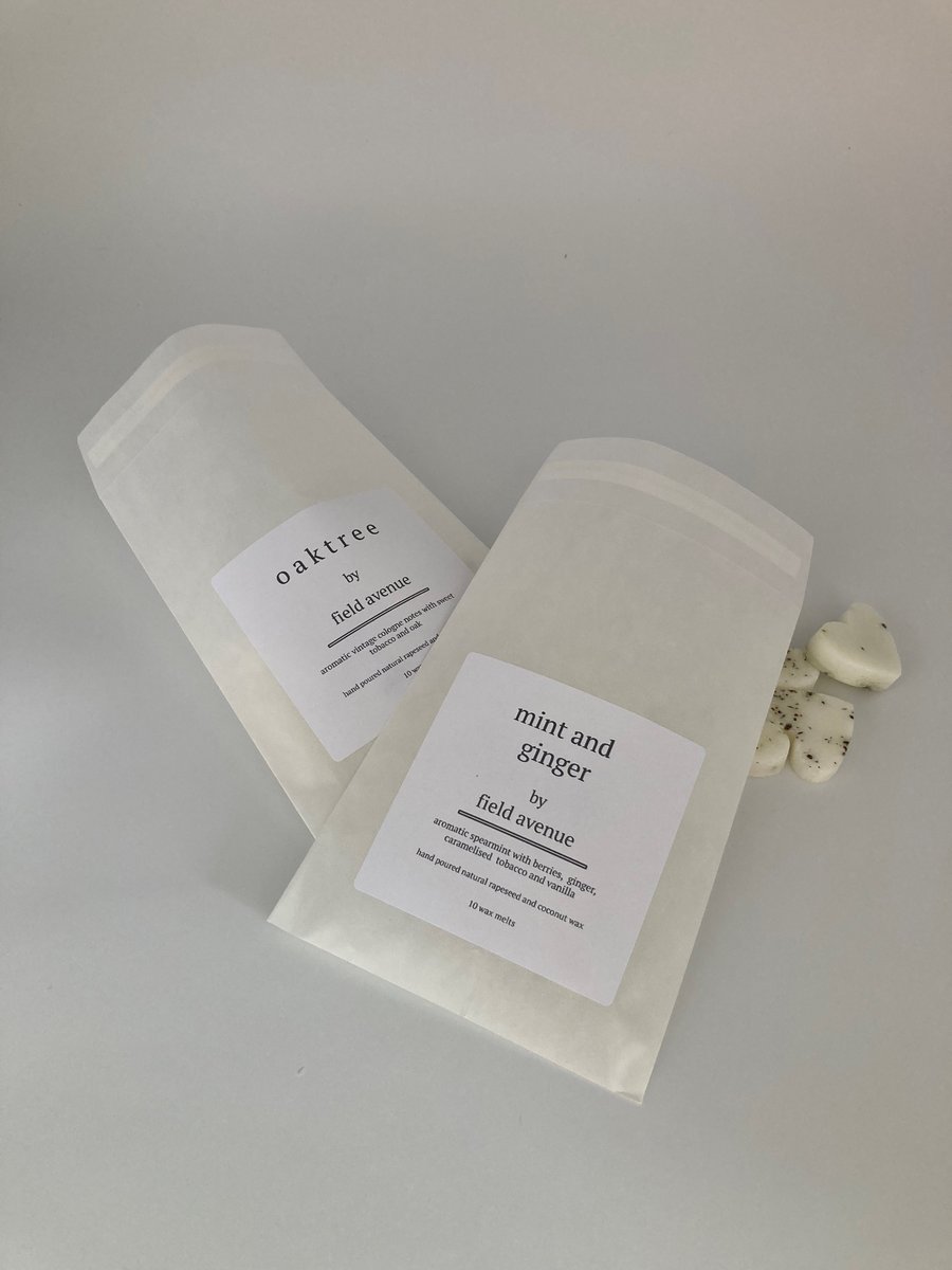 Mint and Ginger Botanical Wax Melts