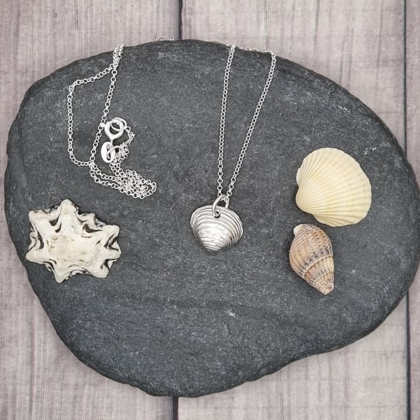 Real seashell preserved in silver, pendant necklace