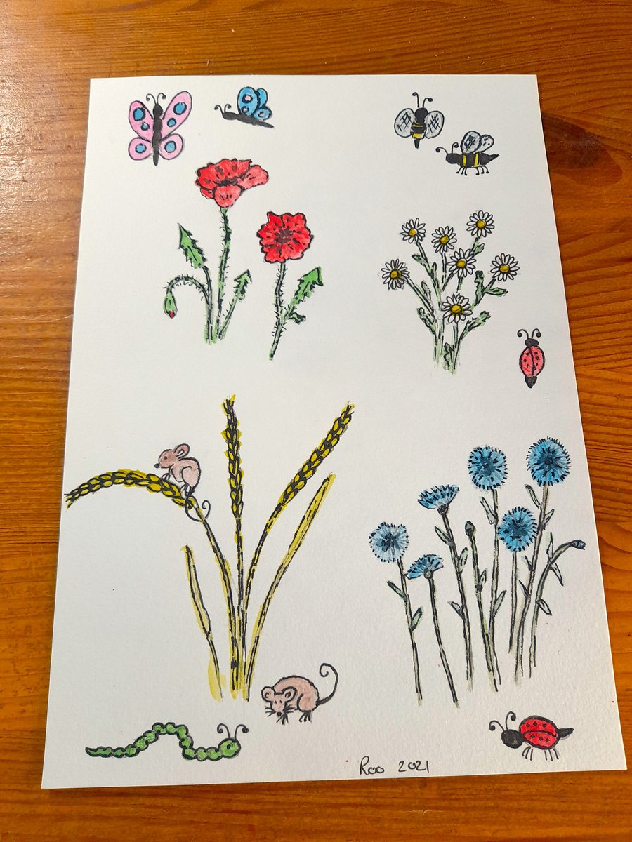 Summer Flowers, insects & mice. Watercolour A5