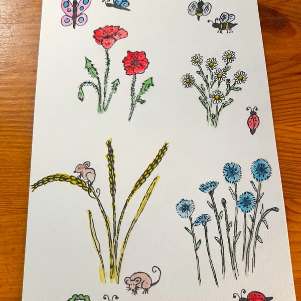Summer Flowers, insects & mice. Watercolour A5