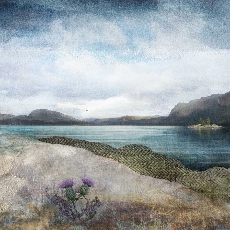 Plockton Thistles, Scotland.  Archival art print by Scottish artist Carol McEwan