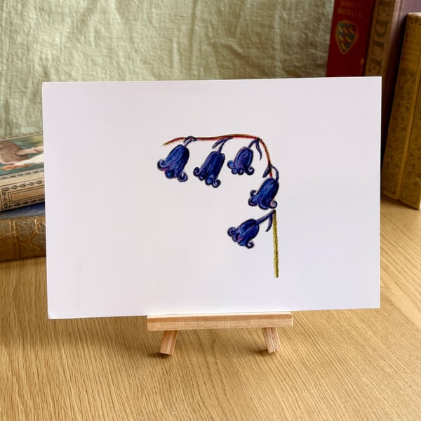 Bluebells - Art Print A5 or A4