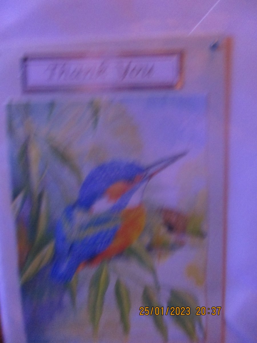 Thank You Kingfisher Card